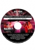 Advanced II (Gold) Salsa Syllabus DSJD53