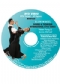 Believe In Basics - International Tango Figures & Technique DISVF235