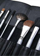Kryolan Professional 13 Brushes Kit