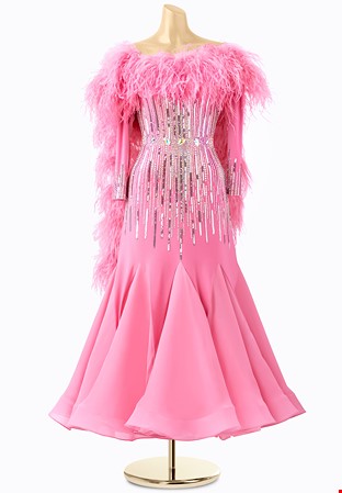 Feather Angel Full Skirt Ballroom Dress PCWB19151-A