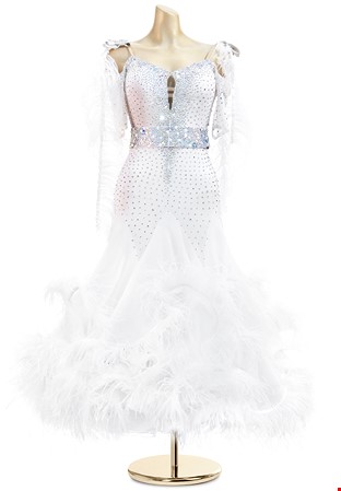 Feather Fairytale Ballroom Competition Gown PCWB18029