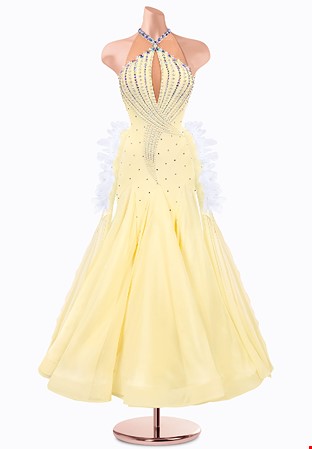 Sunny Frill Ballroom Gown TID-BM0854
