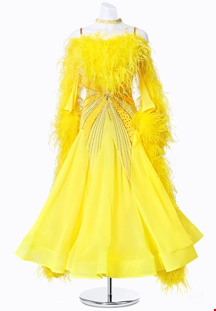 Radiant Phoenix Ballroom Dress MFB0235