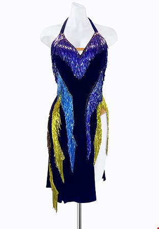 Shimmering Fringe Latin Dress PR-L225020
