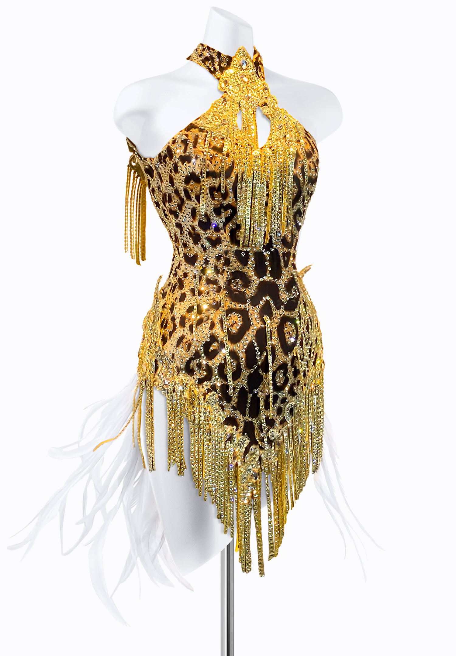 Wild Reign Latin Dress PR-L225039