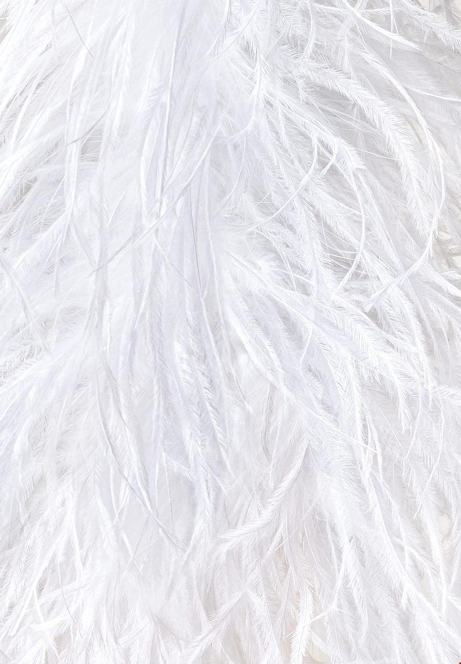 Ostrich Feather Fringe 1Ply - White