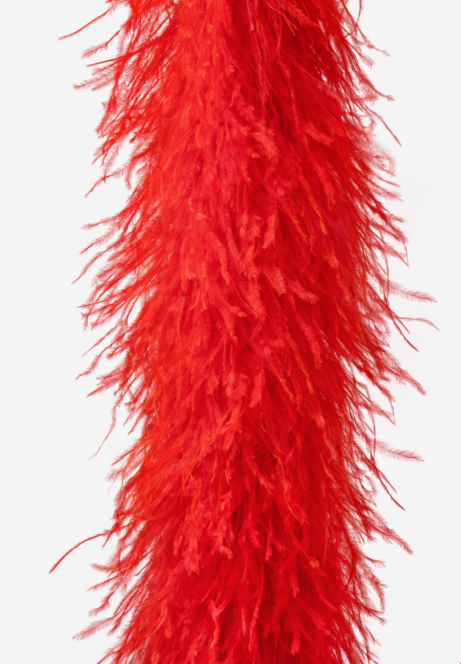Chrisanne Clover Ostrich Feather Fringe