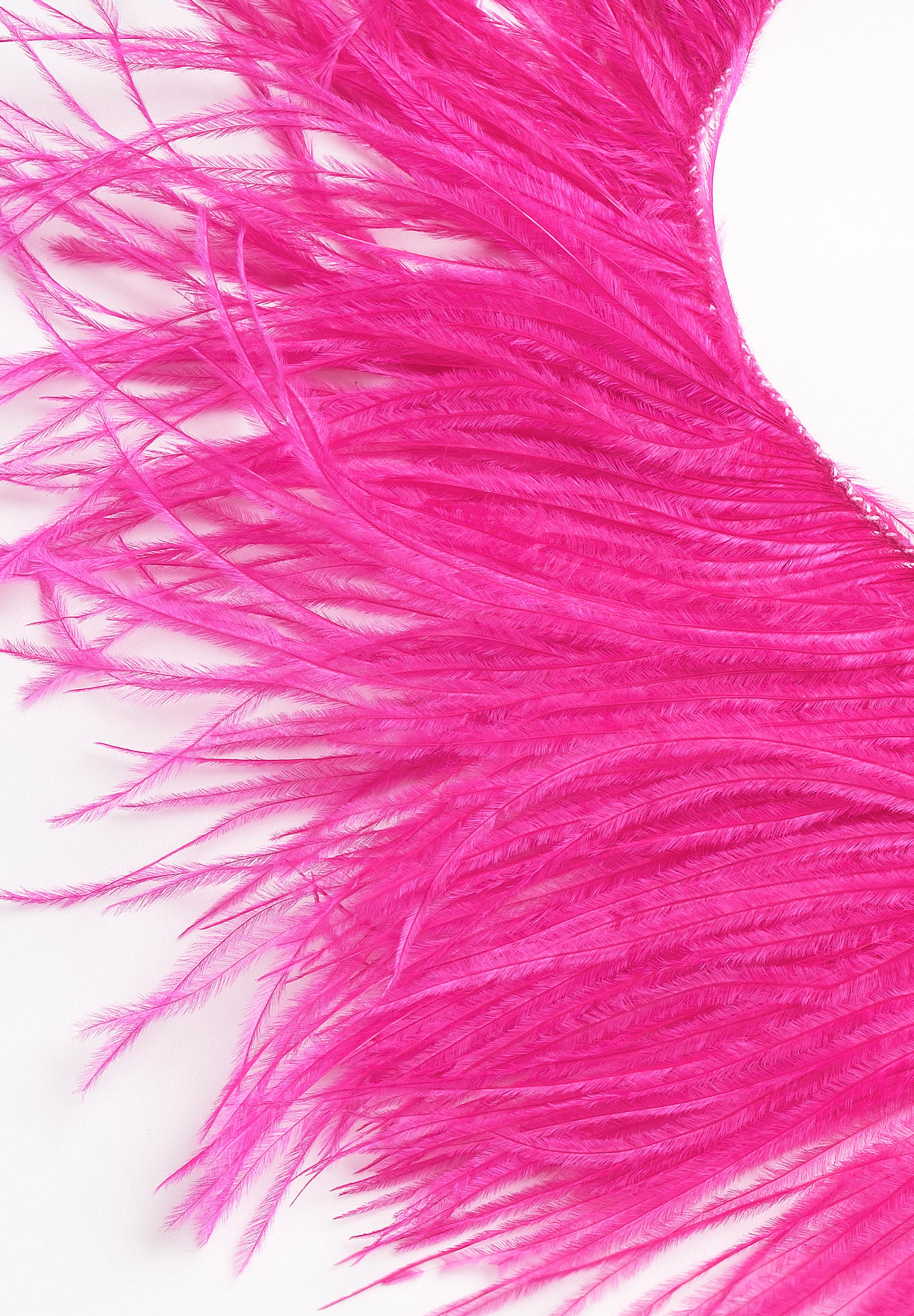 Chrisanne Clover Ostrich Feather Fringe | Danceshopper