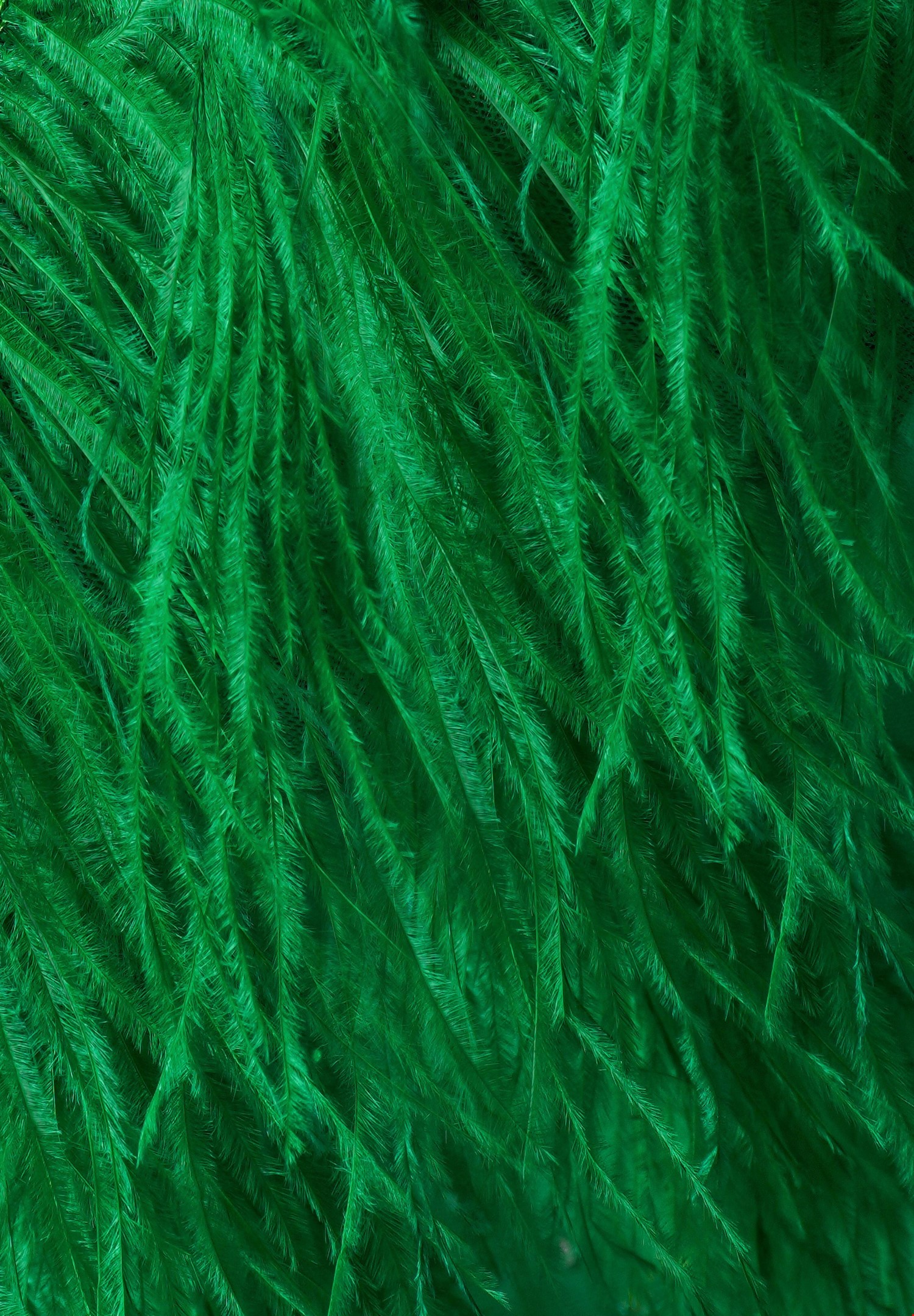NST 6' Feather Boa Apple Green