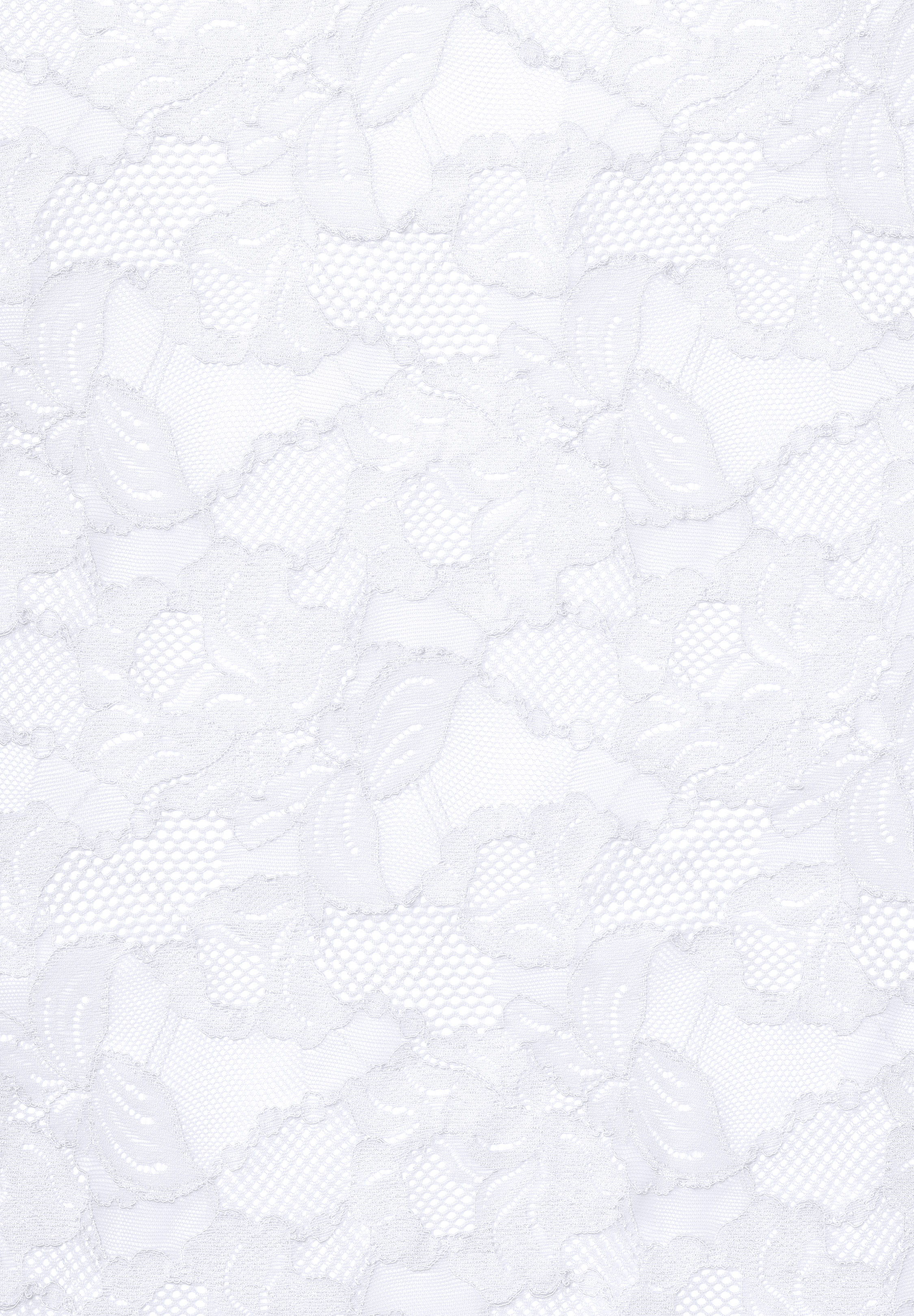 Chrisanne Clover Floral Cascade Stretch Lace