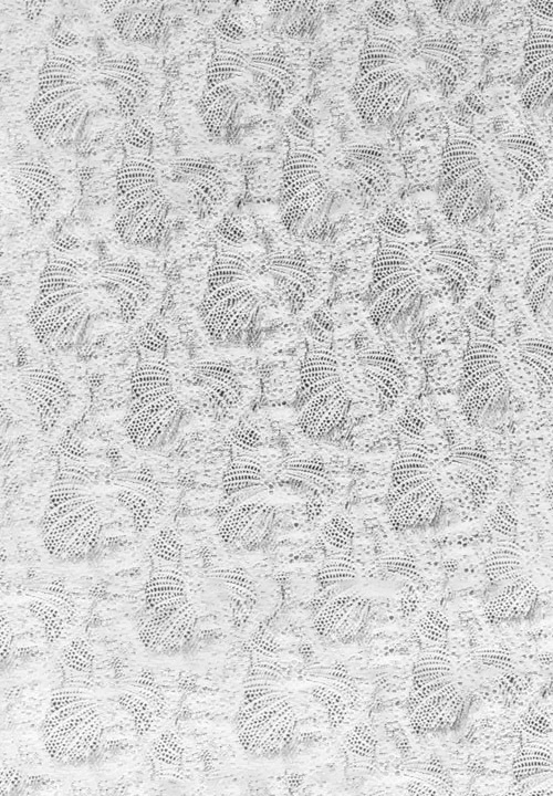 DSI Fantasy Stretch Lace 1505