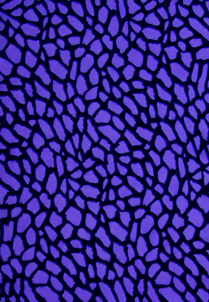 DSI Grid Navy Flock on Mesh 1572