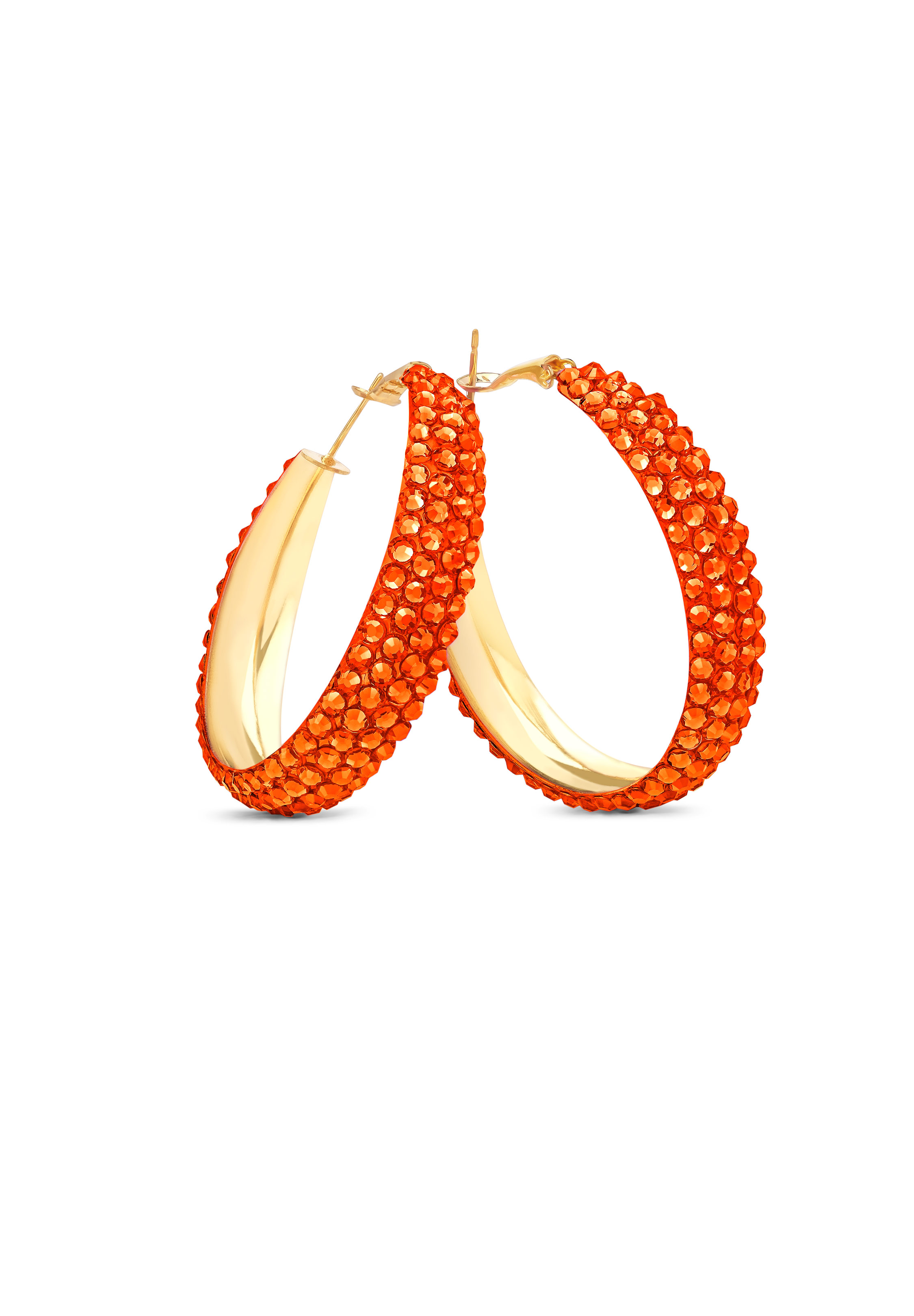 Classic Shine Hoop Earrings HE/S PE-Hyacinth