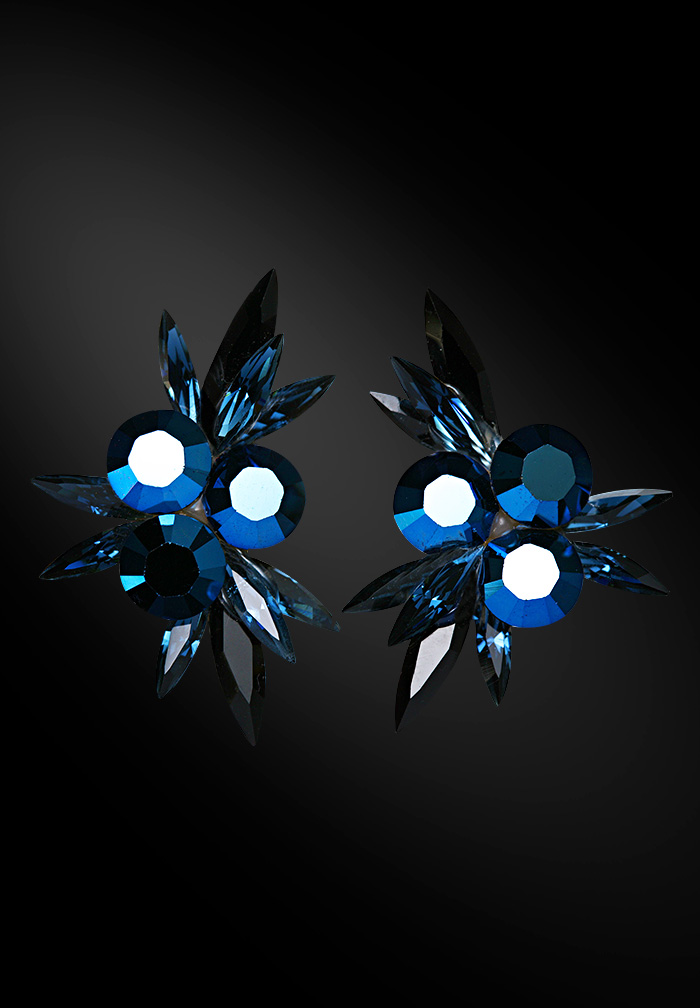 Zdenka Arko Montana & Metallic Blue Crystallized Earrings UH04006-130-Metallic Blue